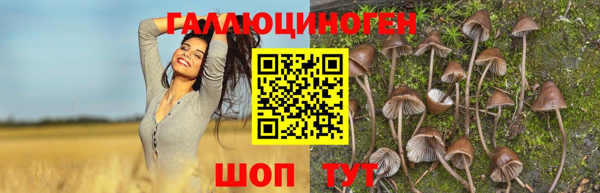 Псилоцибиновые грибы мицелий  Вход с VPN  купить наркоту  Татарск 